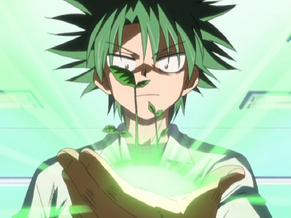La Ley de Ueki - La ley del profe Koba