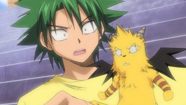 La Ley de Ueki - La ley del Equipo Ballow
