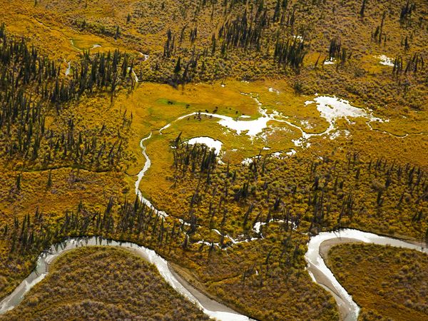 Yukon Gold - Strike When the Iron Is Hot