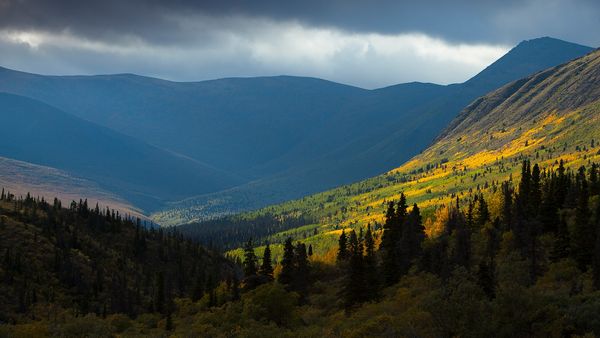 Yukon Gold - The Cost of Gold