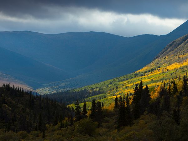 Yukon Gold - The Cost of Gold