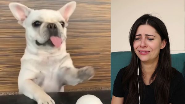 AzzyLand - What Newborn Animals Look Like / If It Was Not Filmed, No One Would Believe It