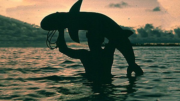 Animales tribales - SHARKS