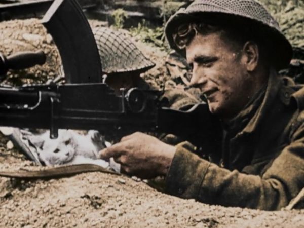 Battlefront: WWII Road To Victory - North Africa (November 1942)
