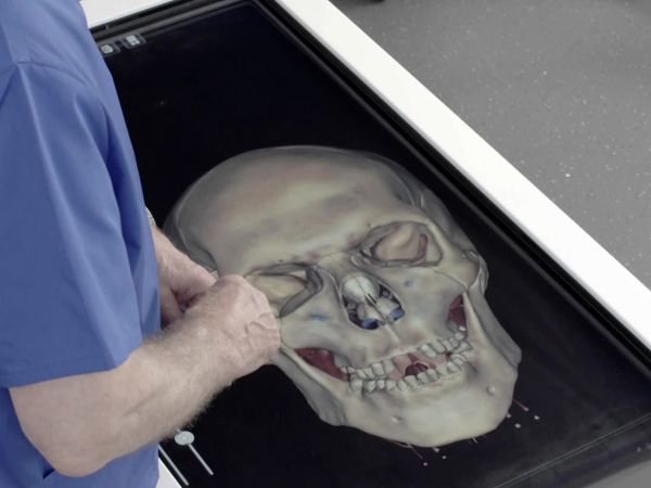 The Truth About My Murder - Jeffrey Howe