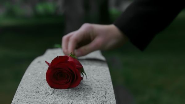 The Truth About My Murder - Peter Farquhar