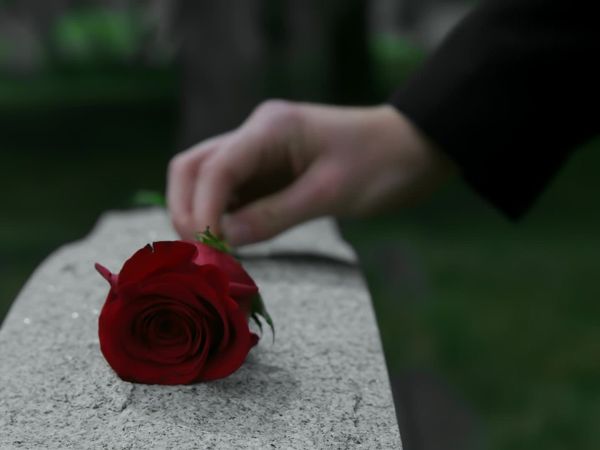 The Truth About My Murder - Peter Farquhar