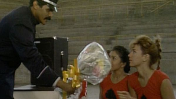 La Dama de Rosa - 6