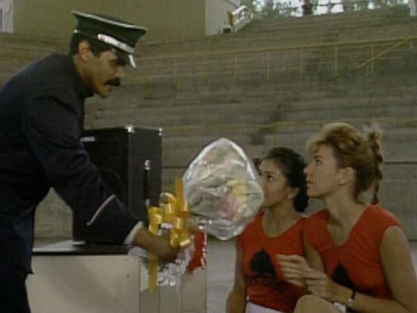 La Dama de Rosa - 6