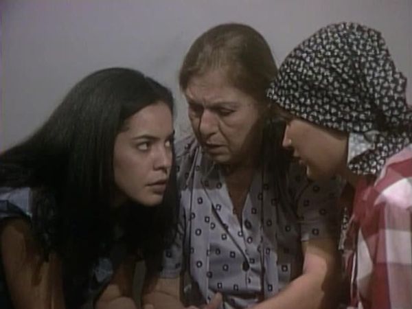 La Dama de Rosa - 17