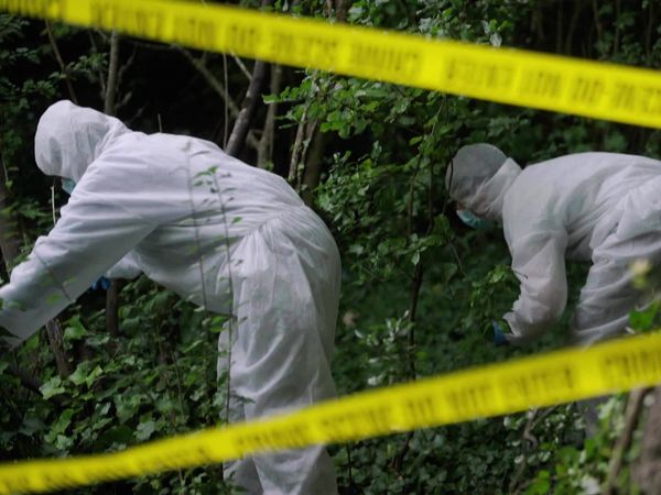 The Truth About My Murder - Deborah Chong