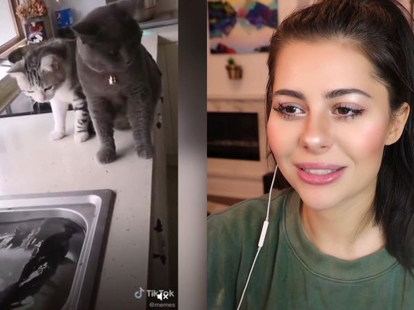 AzzyLand - Memes That I Found at 2AM / People Finding Secret Hidden Rooms in Their Homes