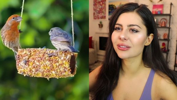AzzyLand - DIY Recycle Hacks that will Save the World / Amazing Miniature Food You Won't Believe Exists