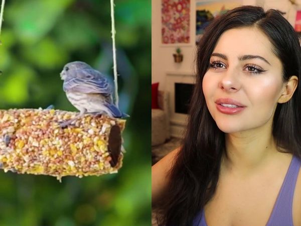 AzzyLand - DIY Recycle Hacks that will Save the World / Amazing Miniature Food You Won't Believe Exists