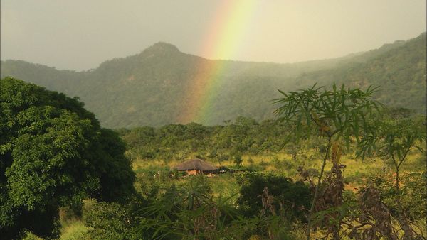 Green Paradise - Mozambique: An African Paddle