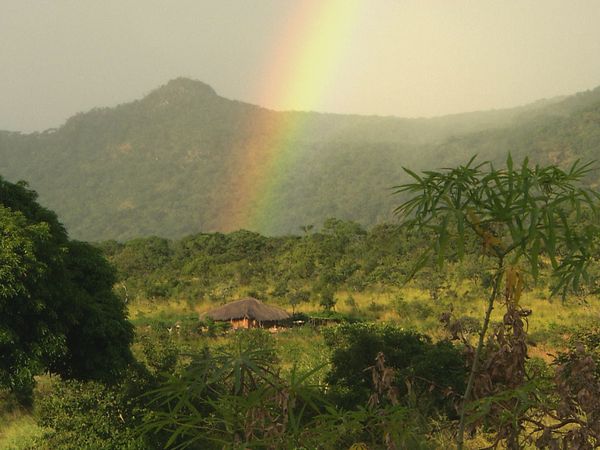 Green Paradise - Mozambique: An African Paddle