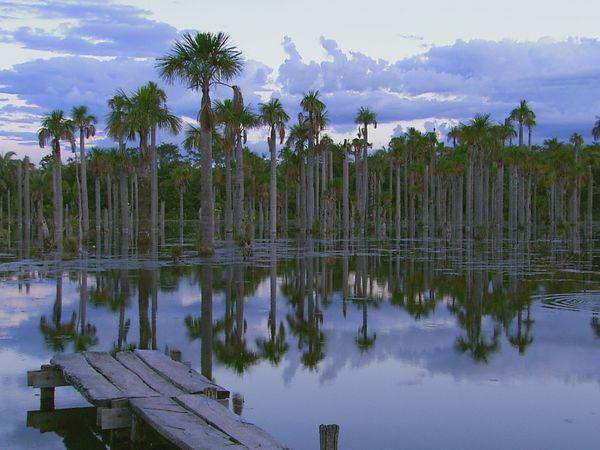 Green Paradise - The Bahamas: The heart of the Ocean