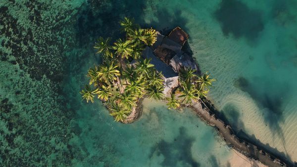 Green Paradise - Fiji: Perfume of Islands
