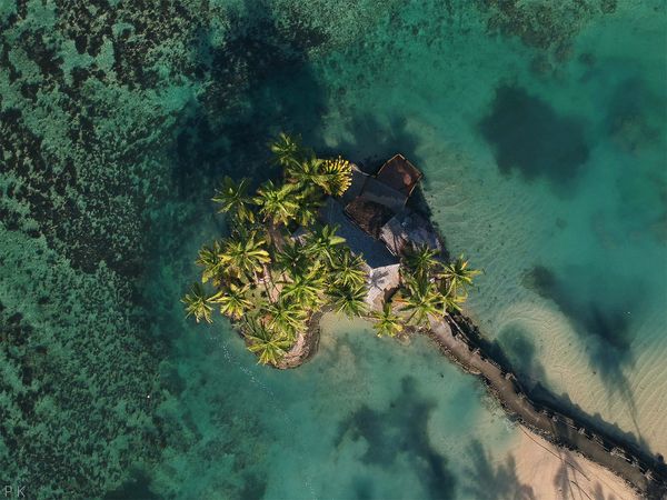 Green Paradise - Fiji: Perfume of Islands