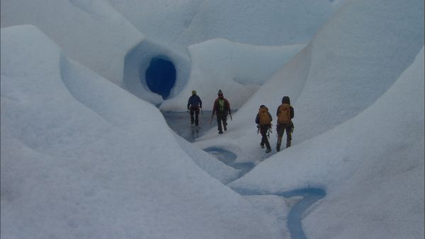 Green Paradise - Chile: In a Gentle and Savage Land