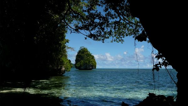 Green Paradise - Palau: The Coral Republic