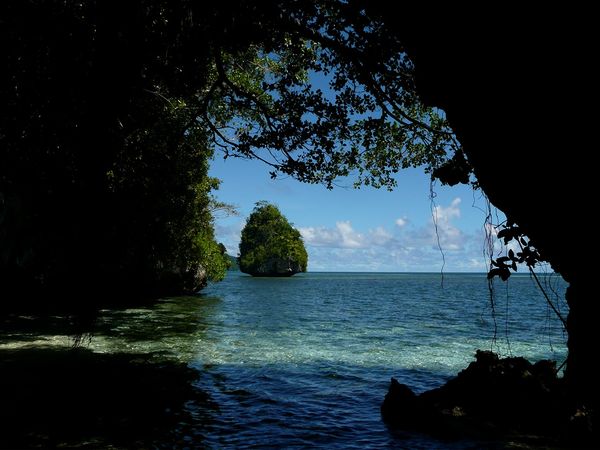 Green Paradise - Palau: The Coral Republic