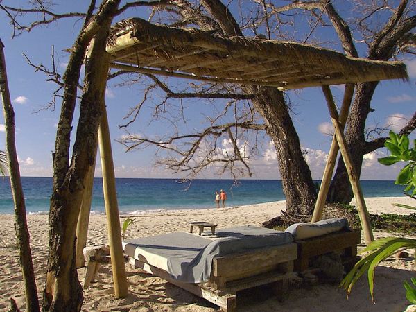 Green Paradise - Seychelles: Nature's Dream