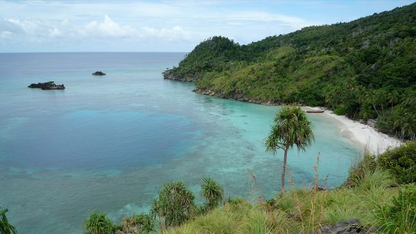 Green Paradise - Indonesia: The Wild Isles
