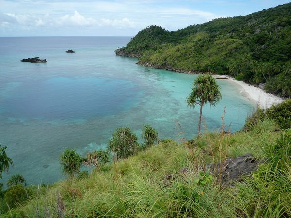 Green Paradise - Indonesia: The Wild Isles