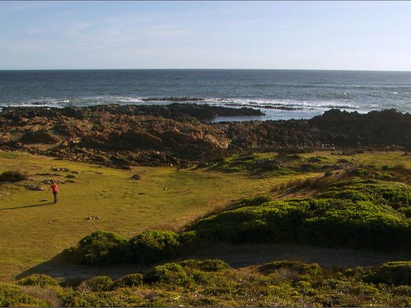 Green Paradise - Tasmania: The Island of the Edge of the World