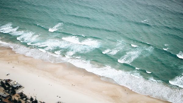 Green Paradise - Australia: In the Majestic East
