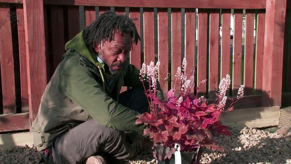 The Instant Gardener - Fife