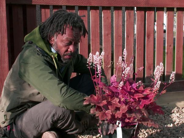The Instant Gardener - Fife