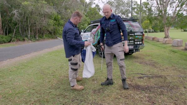 Aussie Snake Wranglers - Snake Surfers