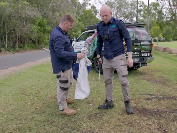 Aussie Snake Wranglers - Snake Surfers