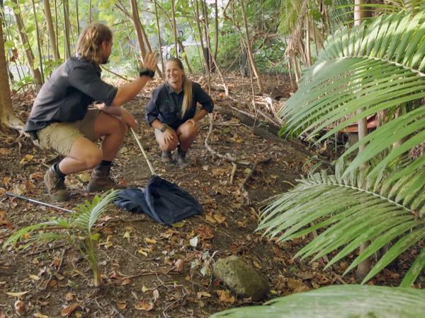 Aussie Snake Wranglers - Brown Bonanza