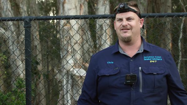 Aussie Snake Wranglers - Fenced In