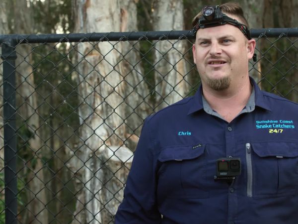 Aussie Snake Wranglers - Fenced In