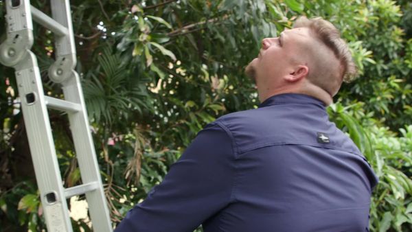 Aussie Snake Wranglers - Hide and Seek