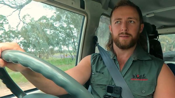 Aussie Snake Wranglers - Hitching a Ride