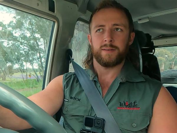 Aussie Snake Wranglers - Hitching a Ride