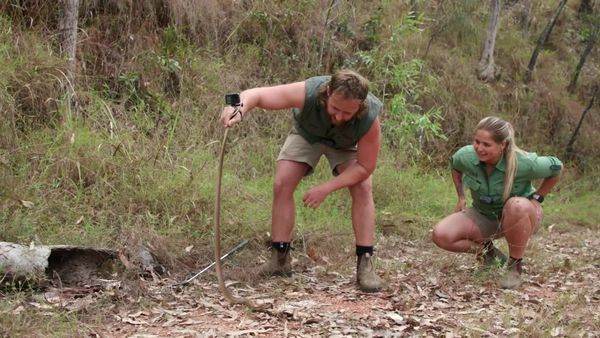 Aussie Snake Wranglers - Demolition Time