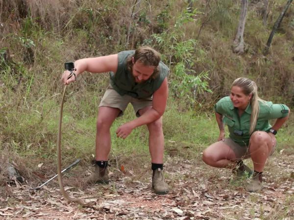 Aussie Snake Wranglers - Demolition Time