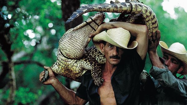 Guardianes del bosque - Episode 9