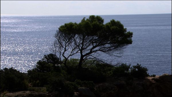 Travel in Style - Chipre & Ibiza