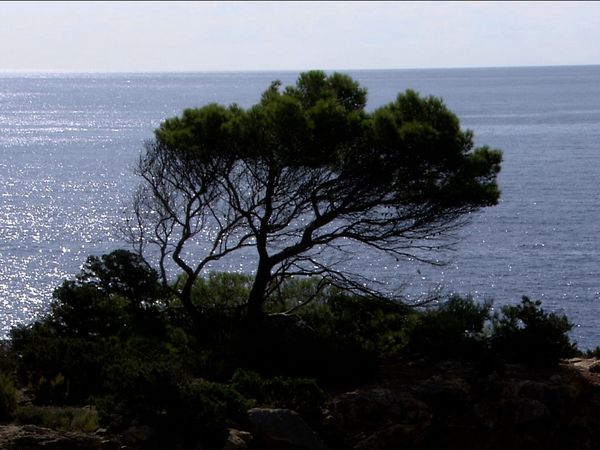 Travel in Style - Chipre & Ibiza