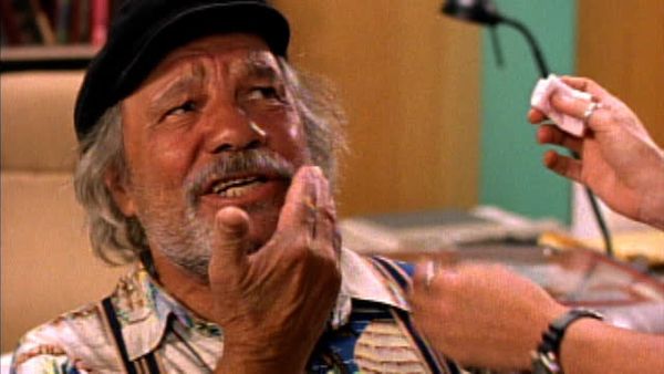 Flipper: The New Adventures - Beach Music