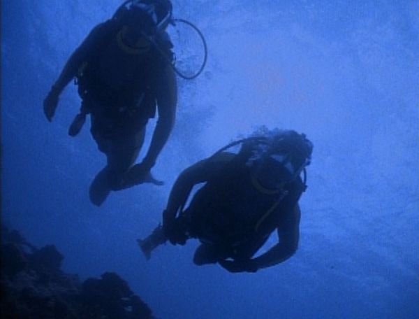 Flipper: The New Adventures - Muddy Water