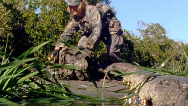 Flipper: The New Adventures - Mr. Mom