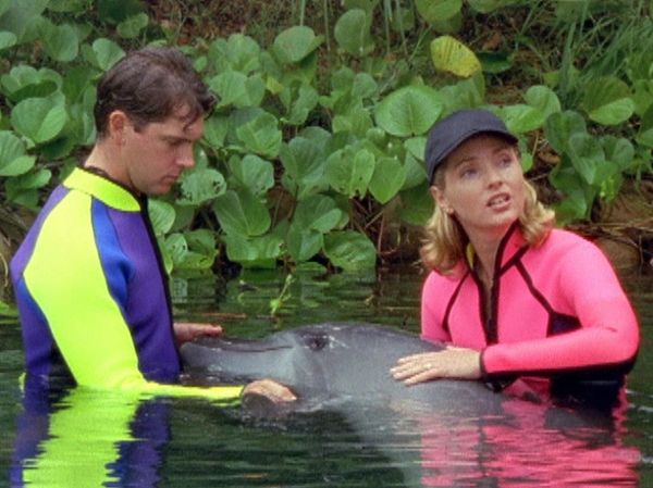 Flipper: The New Adventures - Class